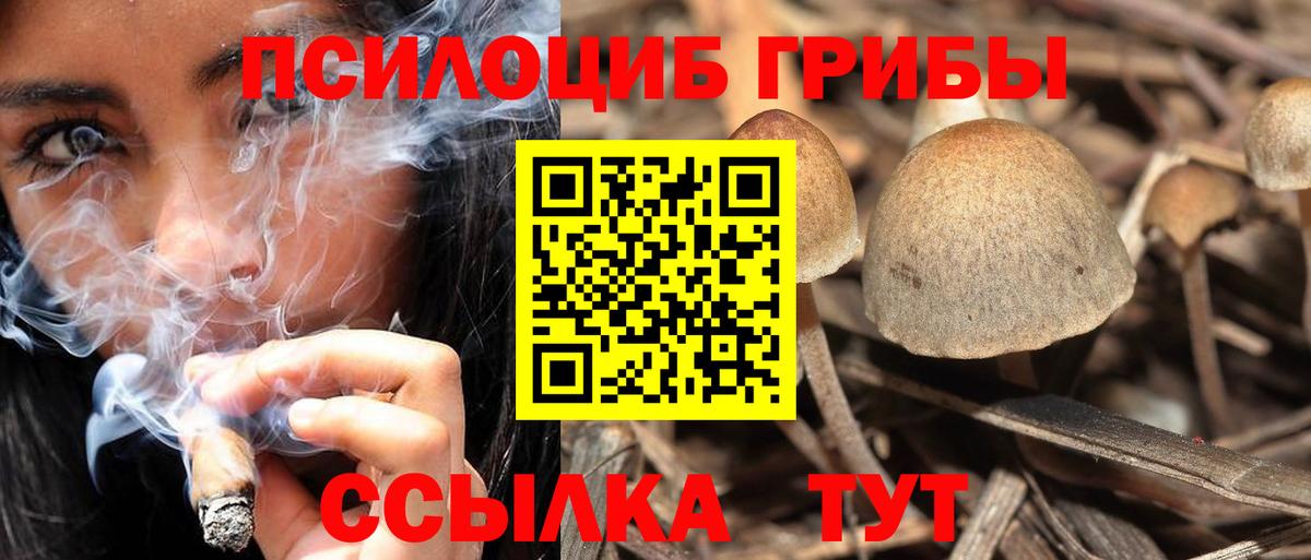 Галлюциногенные грибы Psilocybe  Вход с VPN  Воскресенск 